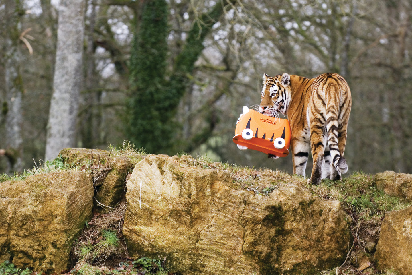 Trunki - Tipu Tiger